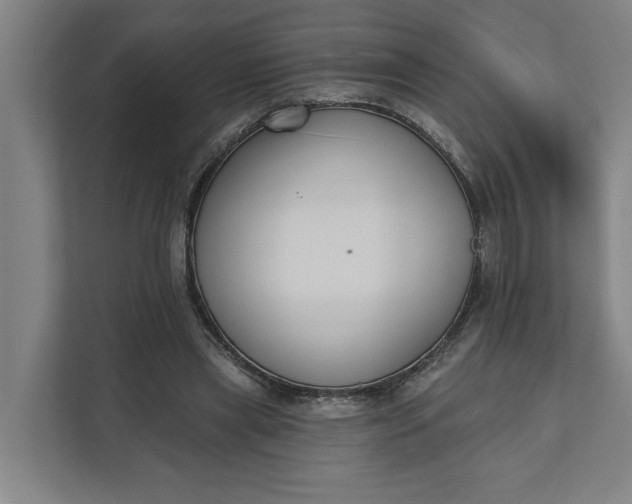 X0000112180445200908211503