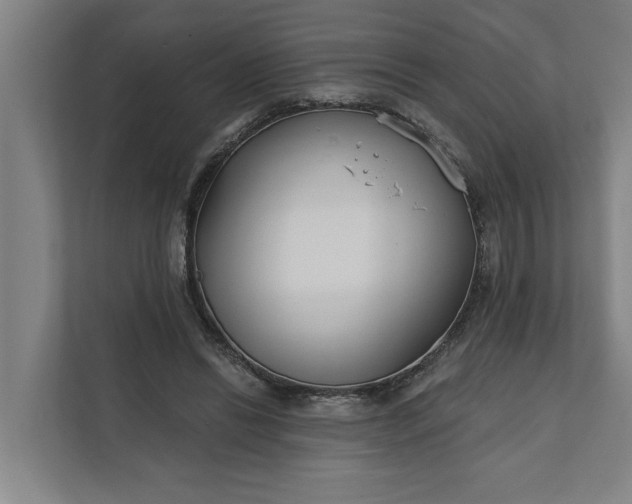 X0000112180446200908211503