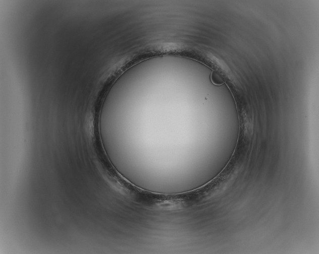 X0000112180447200908211503