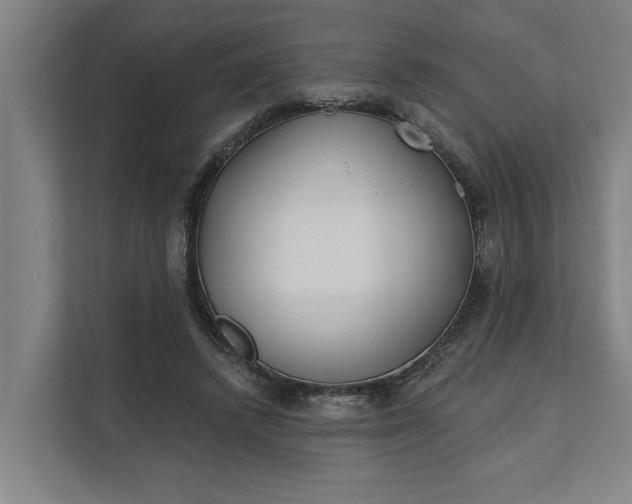 X0000112180448200908211503