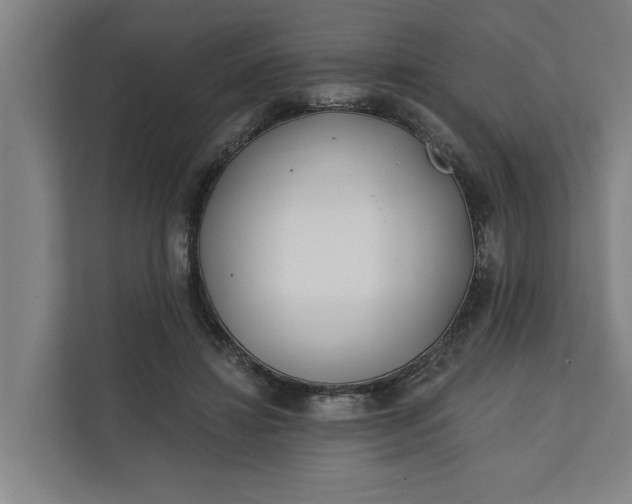 X0000112180452200908211503