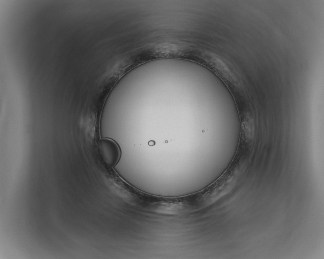 X0000112180458200908211503