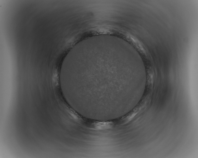 X0000112180465200908211503