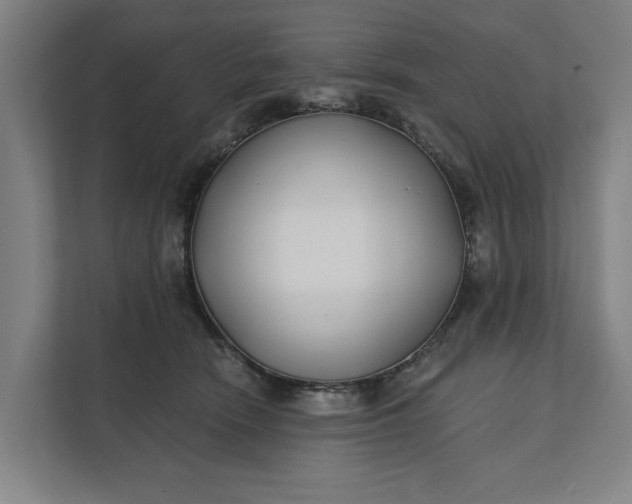 X0000112180466200908211503