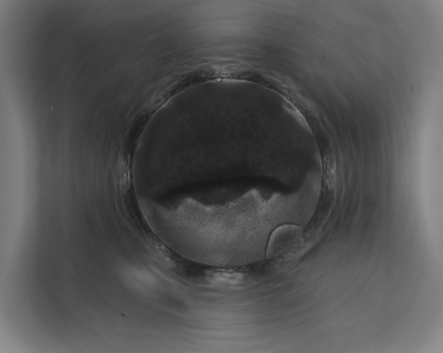 X0000112180471200908211503