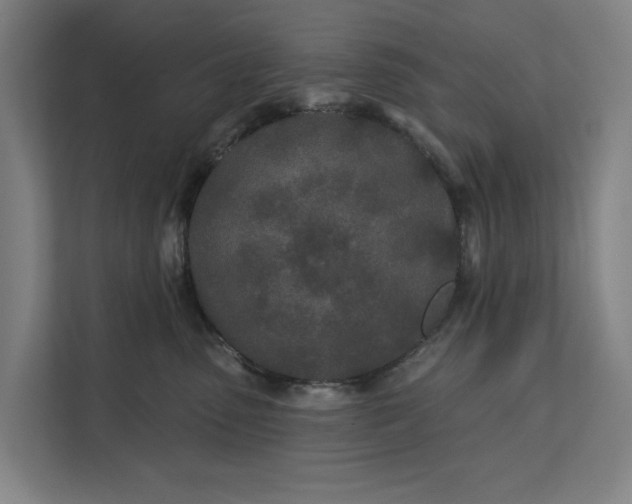 X0000112180475200908211503