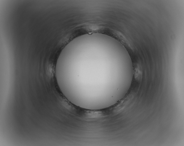 X0000112180476200908211503