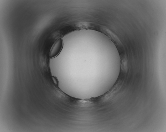 X0000112180477200908211503