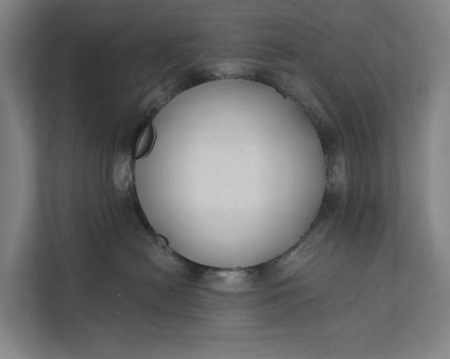 X0000112180478200908211503