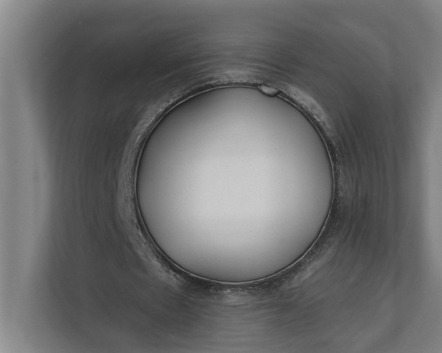 X0000112180481200908211503