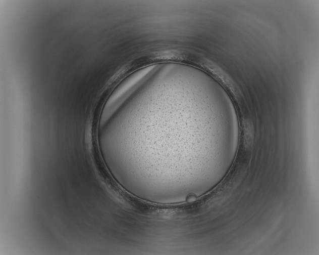 X0000112180482200908211503