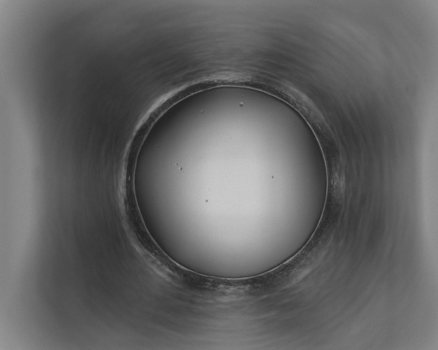 X0000112180484200908211503