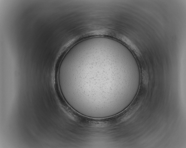 X0000112180486200908211503