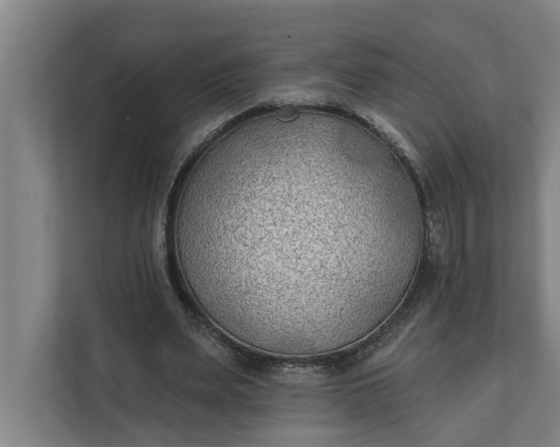 X0000112180487200908211503