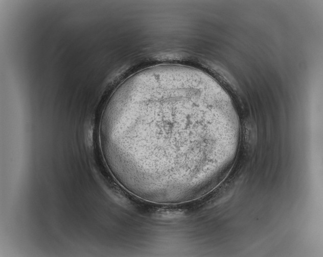 X0000112180491200908211503