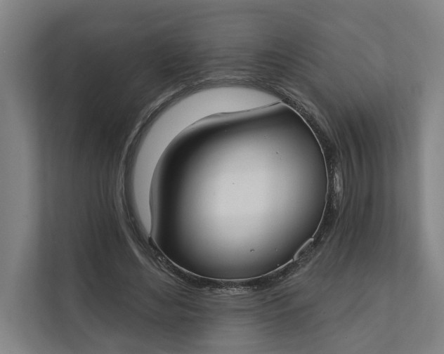 X0000112180492200908211503