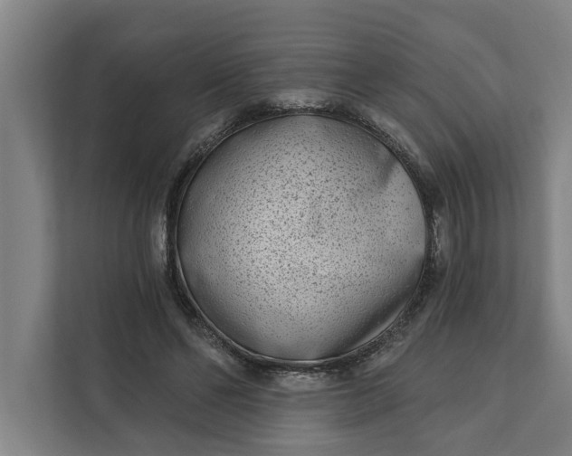 X0000112180494200908211503