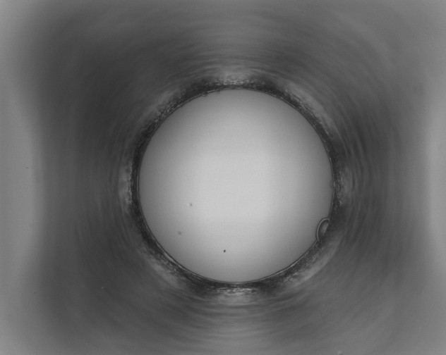 X0000112180497200908211503