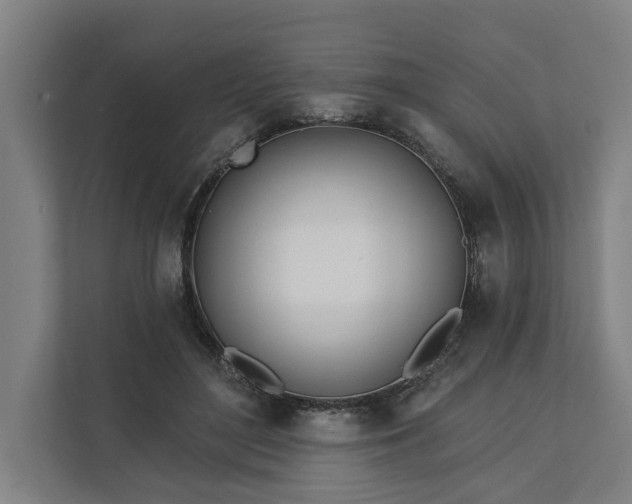 X0000112180500200908211503