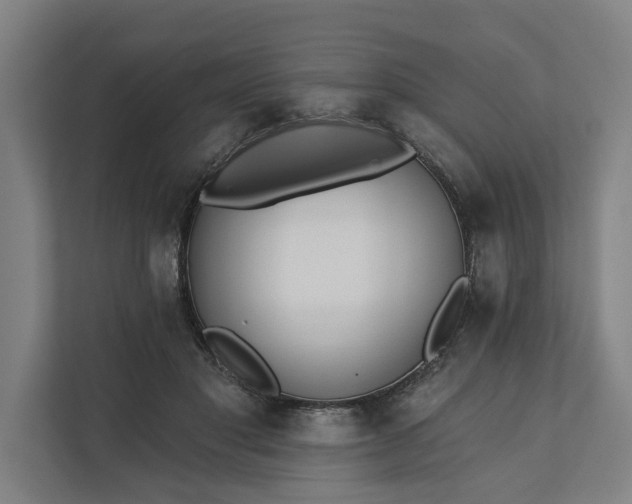 X0000112180501200908211503