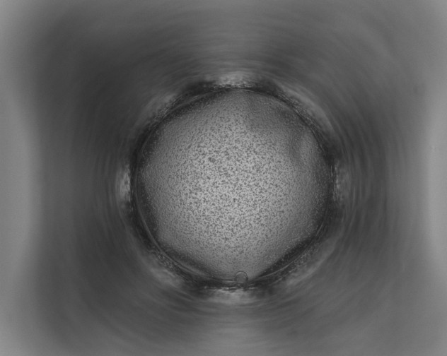 X0000112180502200908211503