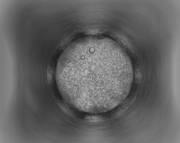 X0000112180503200908211503