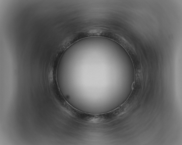 X0000112180504200908211503