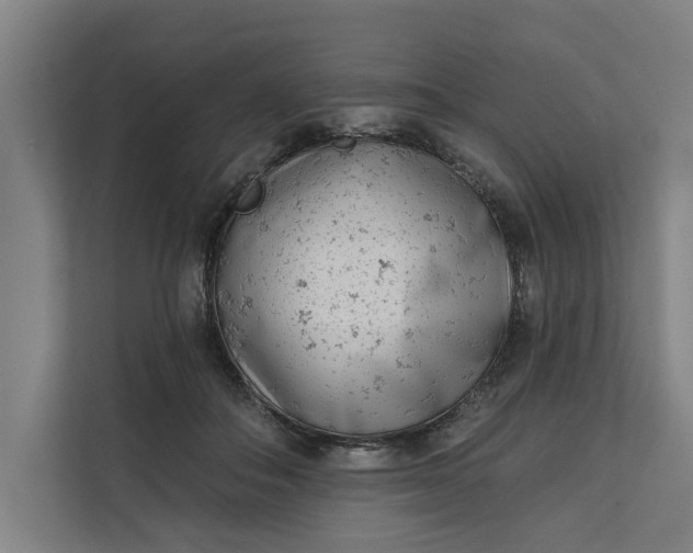 X0000112180506200908211503