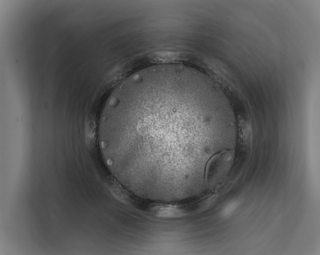 X0000112180507200908211503