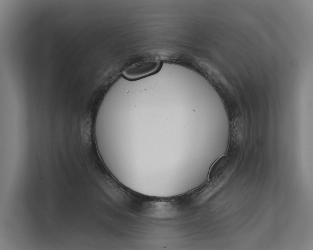 X0000112180509200908211502