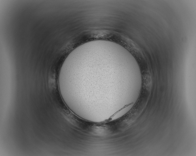 X0000112180510200908211502