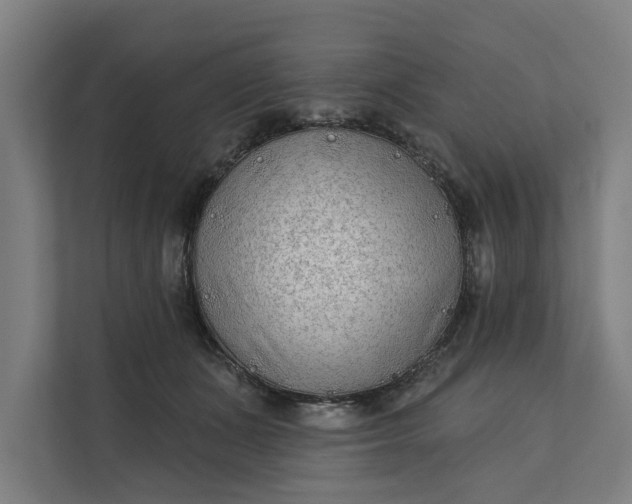 X0000112180511200908211502