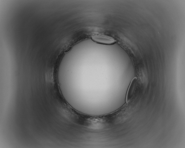 X0000112180512200908211502