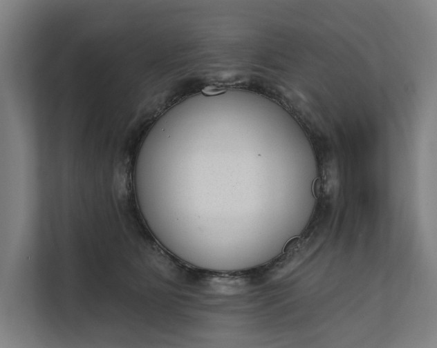 X0000112180515200908211502