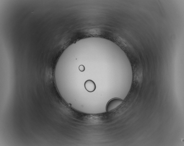 X0000112180518200908211502