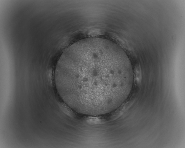 X0000112180519200908211502