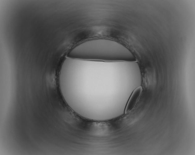 X0000112180520200908211502