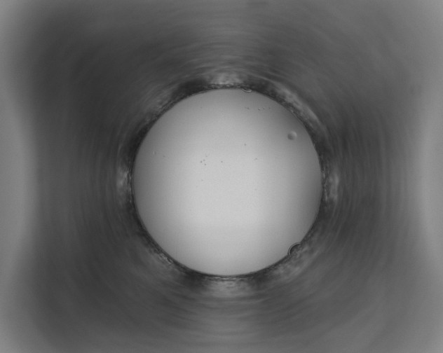 X0000112180521200908211502