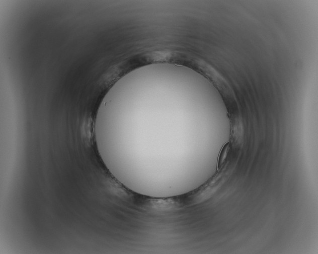 X0000112180525200908211502