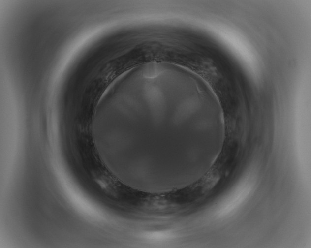 X0000112180526200908211502