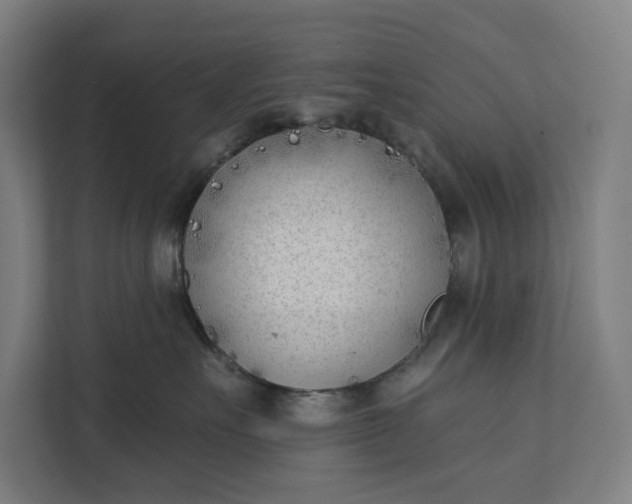 X0000112180527200908211502