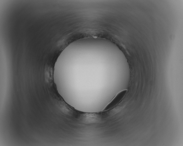 X0000112180528200908211502