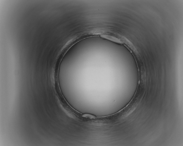 X0000112180530200908211502