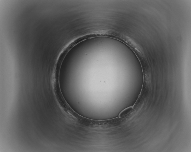 X0000112180532200908211502