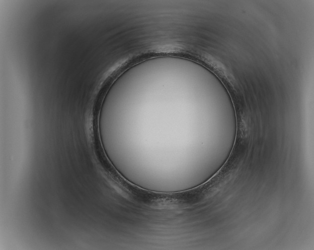 X0000112180535200908211502