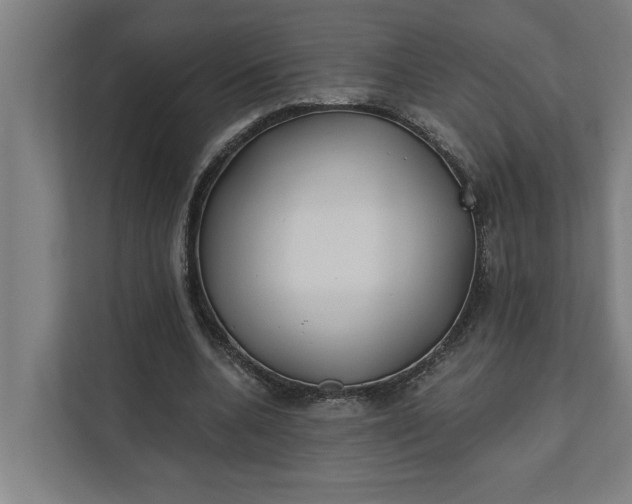 X0000112180536200908211502