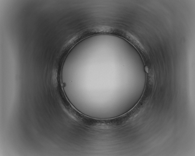 X0000112180538200908211502