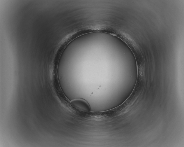 X0000112180540200908211502