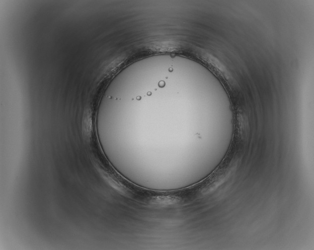 X0000112180541200908211502