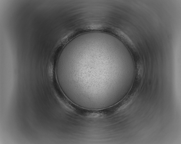 X0000112180542200908211502